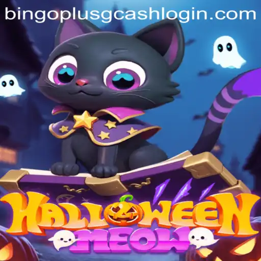 Unveiling HalloweenMeow: The Spooktacular Bingo Adventure