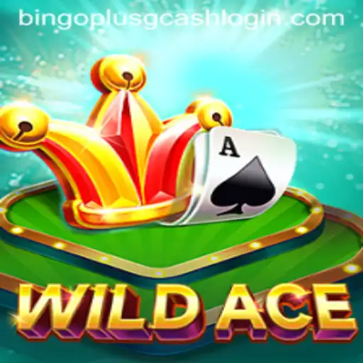 Experience the Thrill of WildAce: A Fusion of Bingo and Digital Currency